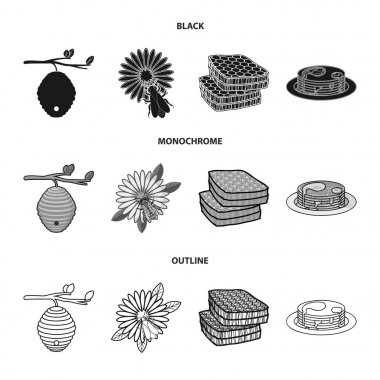Bir dal, bir çiçek üzerinde bir arı, bir Petek Bal, bal pasta bir kovan. Arı kovanı koleksiyonu Icons set siyah, tek renkli, anahat stili vektör simge stok çizim web.