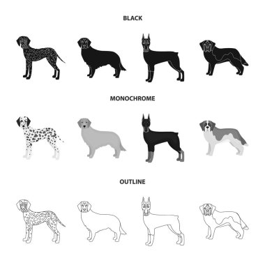 Köpek doğurmak siyah, tek renkli, set koleksiyonu tasarım için simgeleri anahat. Köpek evde beslenen hayvan vektör simge stok web çizim.