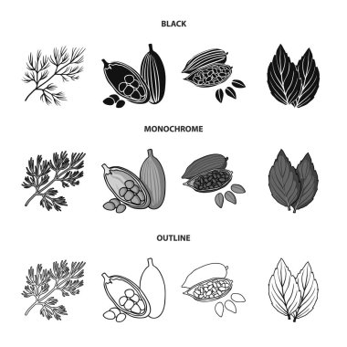 Dereotu, kakao çekirdekleri, fesleğen. Otlar ve baharatlar koleksiyonu Icons set siyah, tek renkli, anahat stili vektör simge stok çizim web.