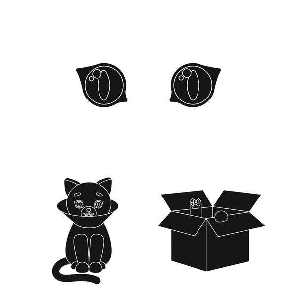 Zwierzęta Kot czarny ikony w kolekcja zestaw do projektowania. Dbanie o kot wektorowej symbol zasobów sieci web. — Wektor stockowy