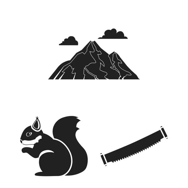 Bosque y naturaleza iconos negros en colección de conjuntos para el diseño. Bosque vida vector símbolo stock web ilustración . — Vector de stock