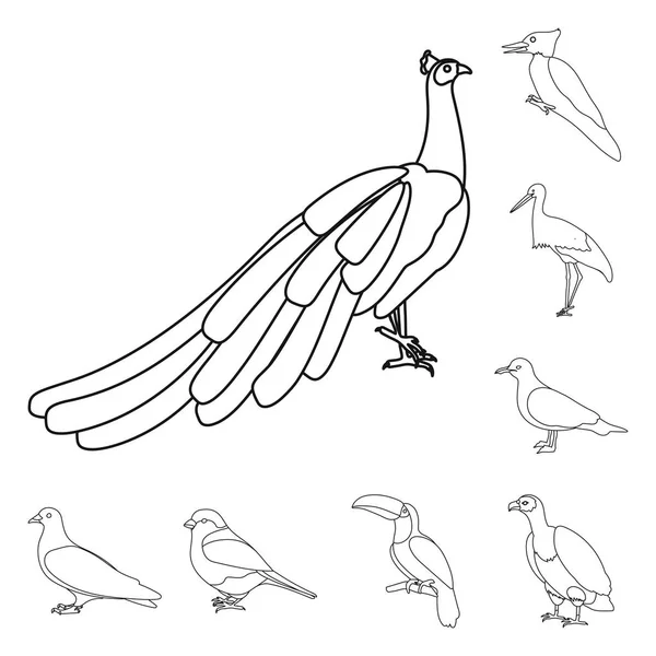 Rodzaje ptaków zarys ikony w kolekcja zestaw do projektowania. Domu i dziki ptak wektor symbol akcji web ilustracja. — Wektor stockowy