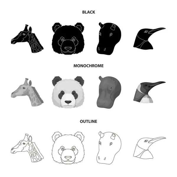 Panda, Giraffe, Nilpferd, Pinguin, realistische Tiere setzen Sammlungssymbole in schwarz, monochrom, Umriss Stil Vektor Symbol Stock Illustration Web. — Stockvektor