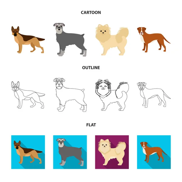 Dog φυλών, καρτουν, περίγραμμα, επίπεδη εικονίδια στη συλλογή σετ για σχεδιασμό. Σκύλος συντροφιάς διάνυσμα σύμβολο μετοχών web εικονογράφηση. — Διανυσματικό Αρχείο