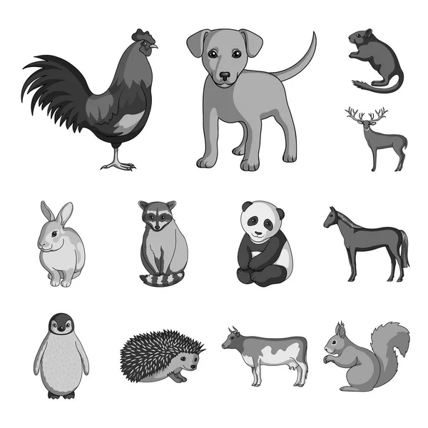 Реалистичные животные монохромные иконы в коллекции наборов для дизайна. Векторная веб-иллюстрация символов диких и домашних животных . — стоковый вектор