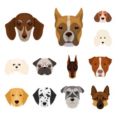 Köpek ırkları set koleksiyonu tasarım için simgeleri karikatür. Bir köpek vektör simge stok web illüstrasyon namlu.
