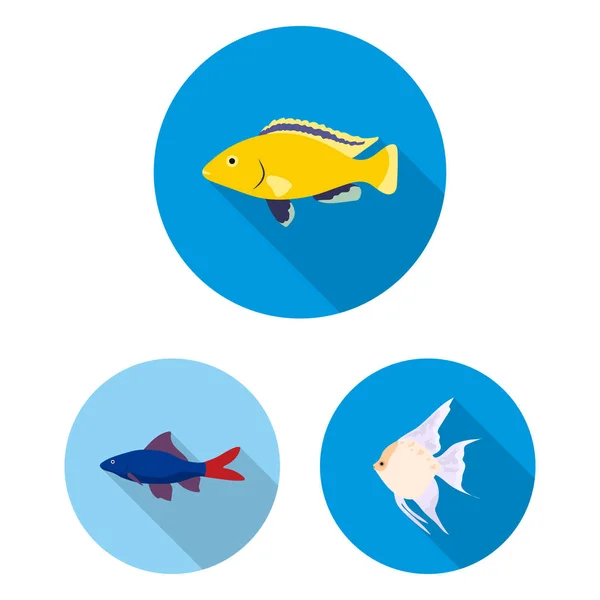 魚の種類はフラット デザインのセットのコレクションのアイコンです。水族館と海洋魚ベクトル シンボル ストック web イラスト. — ストックベクタ