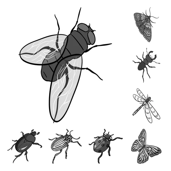 Different kinds of insects monochrome icons in set collection for design. Insect arthropod vector isometric symbol stock web illustration. — Stock Vector