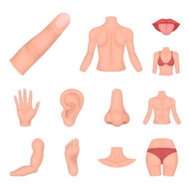 Vücut, bacak karikatür simgeleri tasarım için küme toplama bir parçası. İnsan anatomisi vektör simge stok web çizimi.
