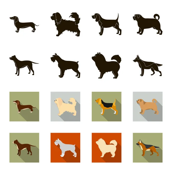 Pit bull, german shepherd, chow chow, schnauzer. Dog breeds set collection icons in black,flet style vector symbol stock illustration web. — Stock Vector