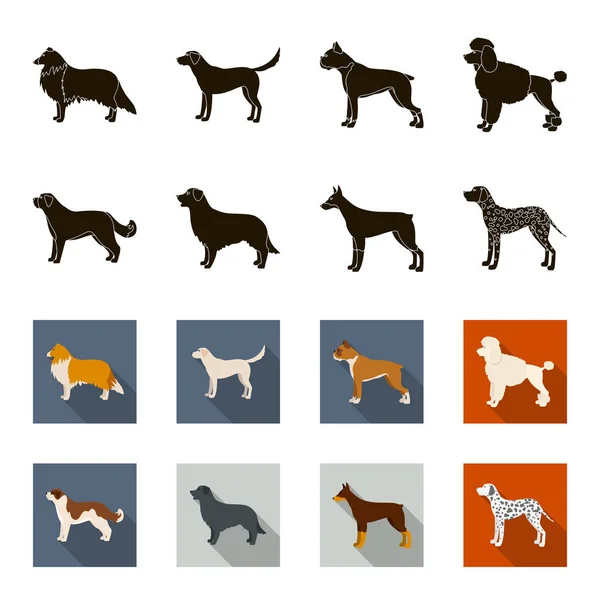 St. Bernard, retriever, labrador, Dobermann. Hondenrassen instellen collectie iconen in zwart, flet stijl vector symbool stock illustratie web. — Stockvector