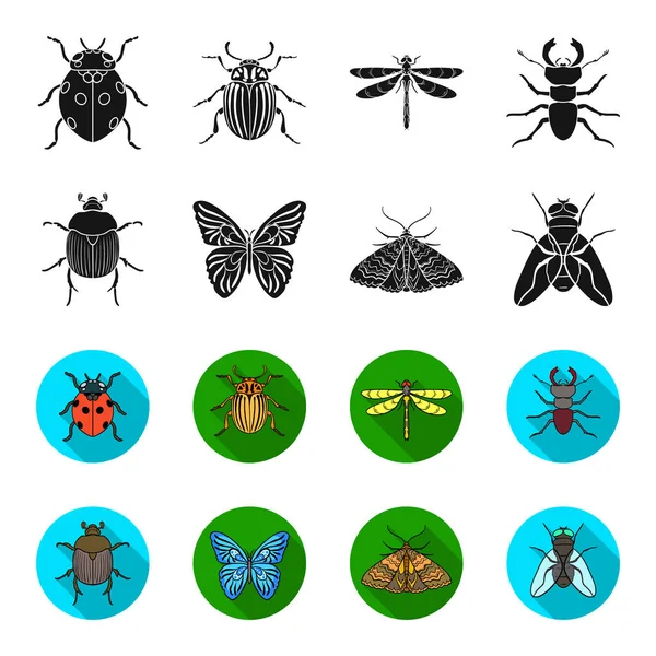 Broyeur, parasite, nature, papillon. Ensemble d'insectes icônes de la collection en noir, flet style vectoriel symbole illustration web . — Image vectorielle