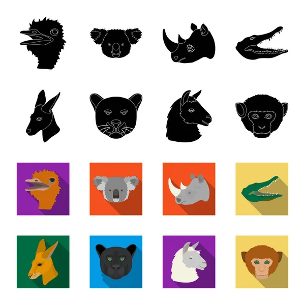 Canguros, llama, mono, pantera, animales realistas conjunto colección iconos en negro, flet estilo vector símbolo stock ilustración web . — Archivo Imágenes Vectoriales
