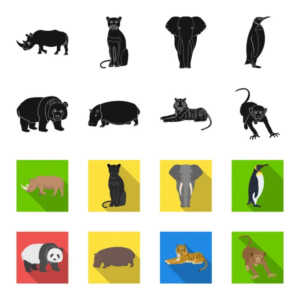 Oso de bambú, hipopótamo, tigre animal salvaje, mono. Animales salvajes set colección iconos en negro, flet estilo vector símbolo stock ilustración web . — Vector de stock