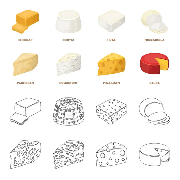 Parmesano, roquefort, maasdam, gauda.Different tipos de queso conjunto colección iconos en dibujos animados, contorno estilo vector símbolo stock ilustración web . — Vector de stock