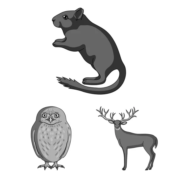 Animaux réalistes icônes monochromes dans la collection ensemble pour le design. Animaux sauvages et domestiques symbole vectoriel stock web illustration . — Image vectorielle