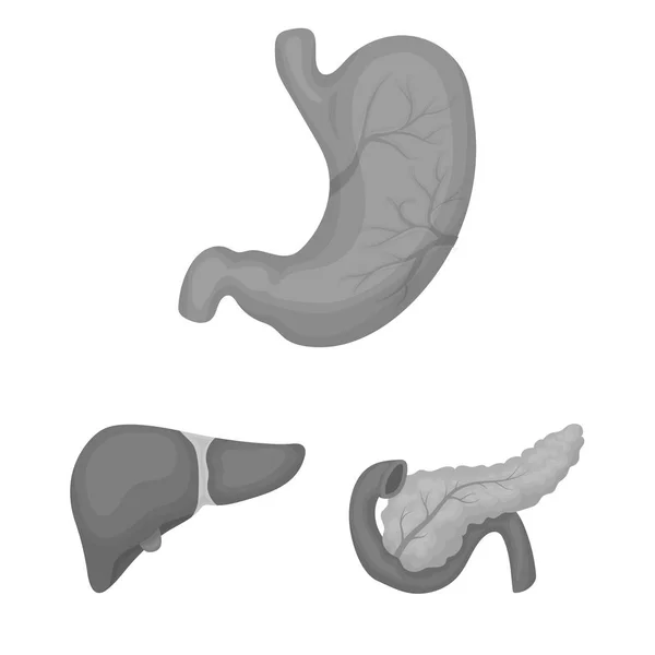 Órgãos internos de um ícones monocromáticos humanos na coleção de jogo do desenho. Anatomia e medicina vetor símbolo web ilustração . — Vetor de Stock