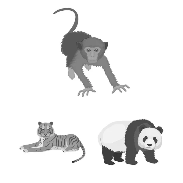 Olika djur svartvita ikoner i set insamling för design. Fågel, rovdjur och växtätare vektor symbol lager web illustration. — Stock vektor