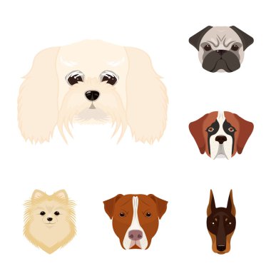 Köpek ırkları set koleksiyonu tasarım için simgeleri karikatür. Bir köpek vektör simge stok web illüstrasyon namlu.
