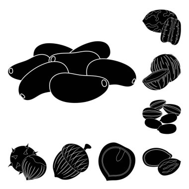 Fındık çeşitleri set koleksiyonu tasarım için simgeler siyah. Fındık gıda vektör simge stok web çizim.