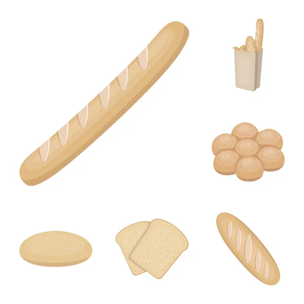 Types of bread cartoon icons in set collection for design. Bakery products vector symbol stock web illustration. — Stock Vector