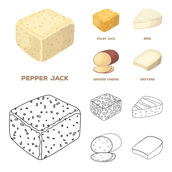 Brynza, ahumado, colby jack, pimienta jack.Different tipos de queso conjunto colección iconos en dibujos animados, contorno estilo vector símbolo stock ilustración web . — Vector de stock