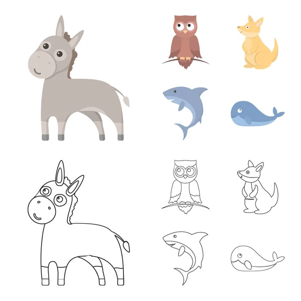Esel, Eule, Känguru, Hai. Tier Set Sammlung Symbole in Cartoon, umreißen Stil Vektor Symbol Stock Illustration Web. — Stockvektor