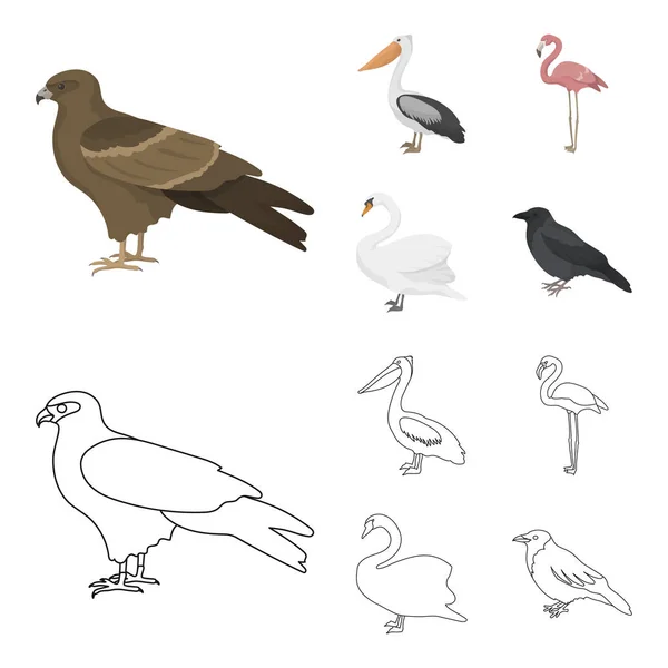 Кайт, пеликан, фламинго, лебедь. Птицы устанавливают иконки коллекции в мультфильме, набросок векторных символов стиля иконок паутины . — стоковый вектор