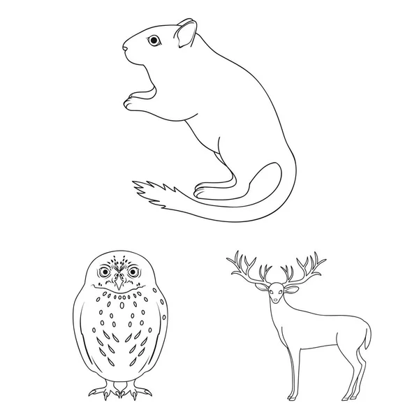 Animales realistas esbozan iconos en la colección de conjuntos para el diseño. Animales salvajes y domésticos vector símbolo stock web ilustración . — Archivo Imágenes Vectoriales
