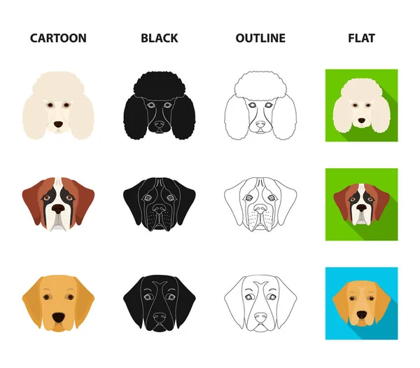 不同品种的狗的枪口。犬的品种 st. 伯纳德, 金猎犬, 猎犬, 达尔马提亚集合图标在卡通, 黑色, 轮廓, 平面风格矢量符号股票插画网站. — 图库矢量图片