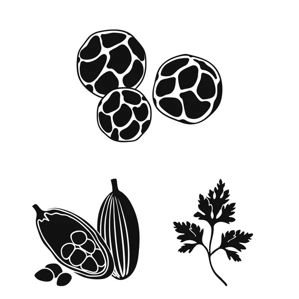 Erbe e spezie icone nere nella collezione set per il design.Different tipi di condimenti vettoriale simbolo stock web illustrazione . — Vettoriale Stock