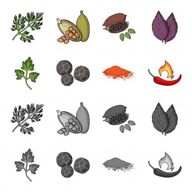 Ptrushka, karabiber, kırmızı biber, biber. Otlar ve baharatlar çizgi film, tek renkli stil vektör simge stok çizim web simgeler ayarla.