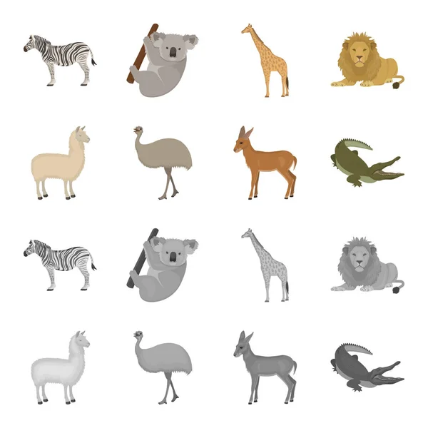 Lama, avestruz emu, antílope jovem, crocodilo animal. Animal selvagem, pássaro, réptil conjunto coleção ícones em desenhos animados, estilo monocromático símbolo vetorial estoque ilustração web . —  Vetores de Stock