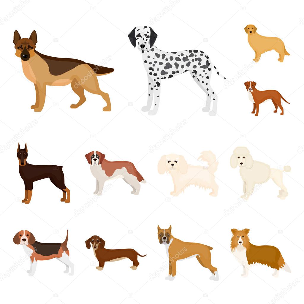 Dog breeds cartoon icons in set collection for design.Dog pet vector symbol stock  illustration.