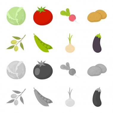 Zeytin dal, bezelye, soğan, patlıcan. Sebze toplama simgeler çizgi film, tek renkli stil vektör simge stok çizim web ayarla..