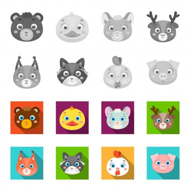 Protein, rakun, tavuk, domuz. Hayvan namlu toplama simgeler tek renkli, düz stil vektör simge stok çizim web ayarla..