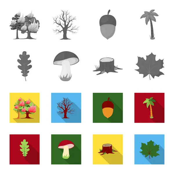 Eiken blad, paddestoel, stomp, esdoornblad. Forest instellen collectie iconen in zwart-wit, vlakke stijl vector symbool stock illustratie web. — Stockvector