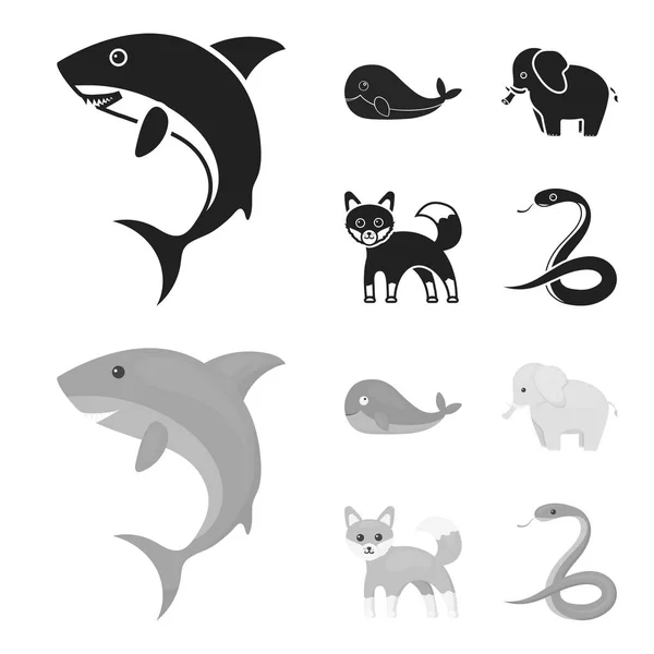 Whale, elephant,snake, fox.Animal set collection icons in black,monochrom style vector symbol stock illustration web. Stock Illustration