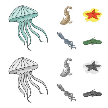 Denizanası, kalamar ve diğer türler. Deniz hayvanları toplama simgeler çizgi film, tek renkli stil vektör simge stok çizim web ayarla..