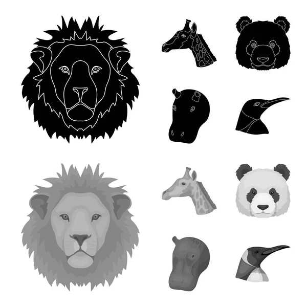 Panda, giraffe, hippopotamus, penguin, Realistic animals set collection icons in black,monochrom style vector symbol stock illustration web. — Stock Vector