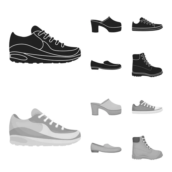 Flip-flops, clogs on a high platform and heel, green sneakers with laces, female gray ballet flats, red shoes on the tractor sole. Shoes set collection icons in black,monochrom style vector symbol — Stock Vector