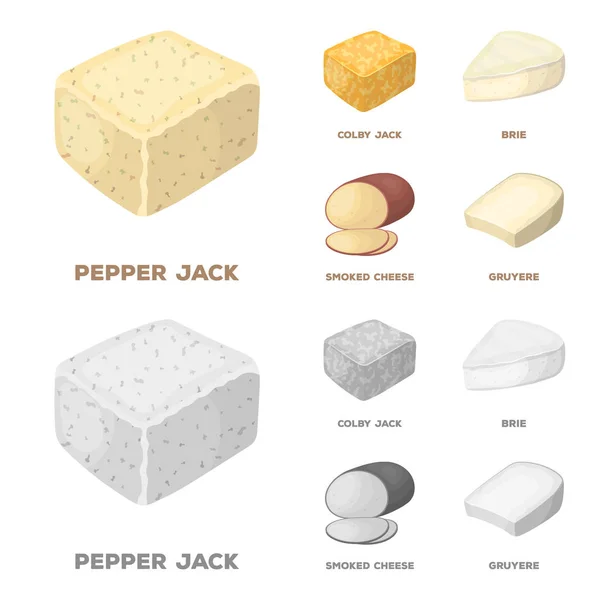 Brynza, ahumado, colby jack, pimienta jack.Different tipos de iconos de colección conjunto de queso en la historieta, el estilo monocromo vector símbolo stock ilustración web . — Vector de stock