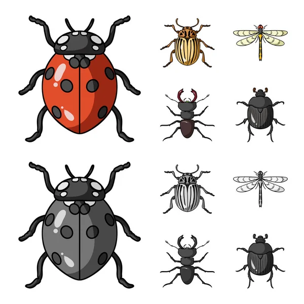 Insect, bug, beetle, paw .Insects set collection icons in cartoon,monochrome style vector symbol stock illustration web. — Stock Vector