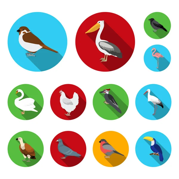 鳥の種類はフラット デザインのセットのコレクションのアイコンです。ホームと野生の鳥ベクトル シンボル ストック web イラスト. — ストックベクタ