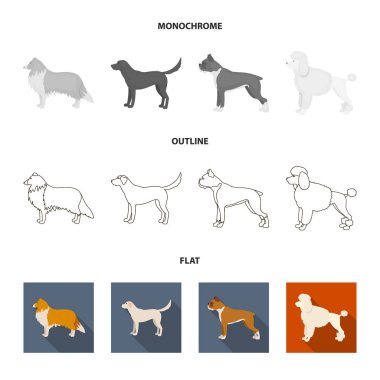 St. Bernard, geri almak, doberman, labrador. Köpek ırkları toplama simgeler koymak düz, anahat, tek renkli stil vektör simge stok çizim web.
