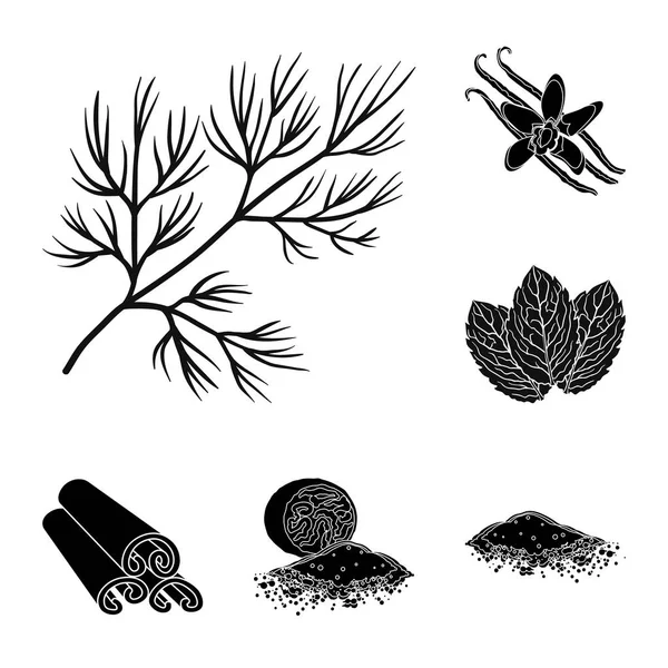 Ot ve baharat set koleksiyonu tasarım için simgeler siyah. Baharat çeşitleri simge stok web illüstrasyon vektör.