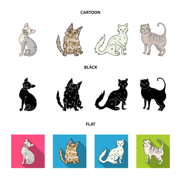 Angora turca, pelo largo británico y otras especies. Gato razas conjunto colección iconos en dibujos animados, negro, plano estilo vector símbolo stock ilustración web . — Archivo Imágenes Vectoriales