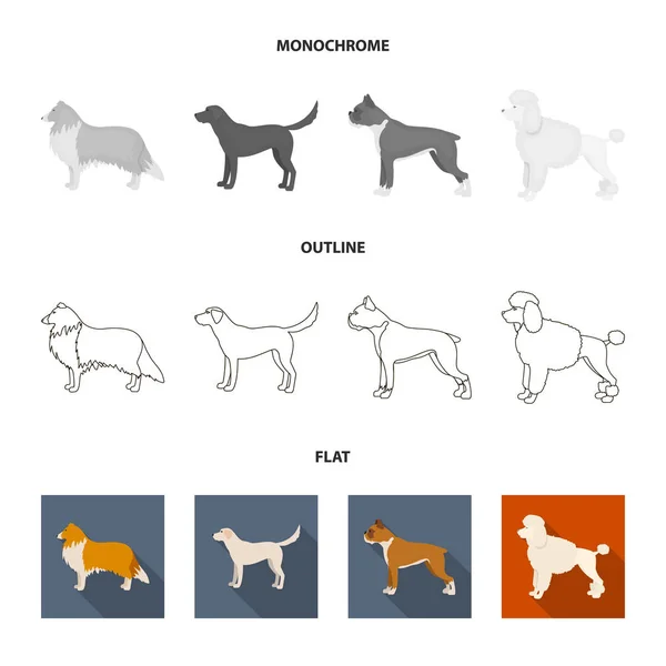เซนต์เบอร์นาร์ด รีทรีฟเวอร์ โดเบอร์แมน ลาบราดอร์ สายพันธุ์สุนัขตั้งไอคอนสะสมในรูปแบบแบน, ขอบเขต, สัญลักษณ์เวกเตอร์สไตล์โมโนโครม . — ภาพเวกเตอร์สต็อก