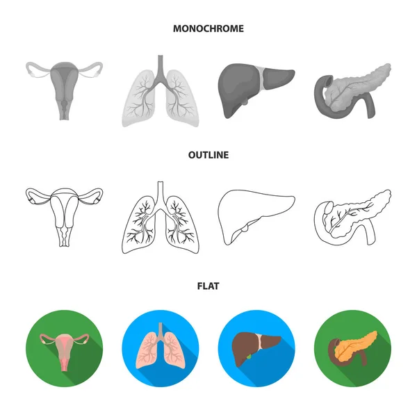 Intestines, estomac, muscles, colonne vertébrale. Organes mis icônes de la collection en plat, contour, monochrome style vectoriel symbole illustration web . — Image vectorielle