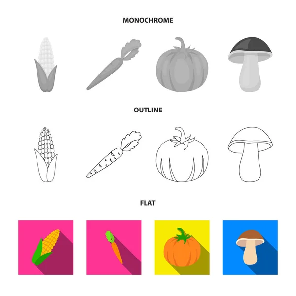 Milho de milho, cenouras de vitamina com topos, abóbora, cogumelo florestal. Vegetais conjunto coleção ícones em plano, contorno, estilo monocromático símbolo vetorial estoque ilustração web . —  Vetores de Stock